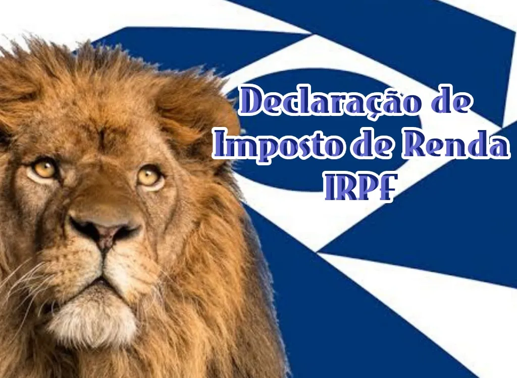 Capa: Baixar Imposto de Renda IRPF Alisson Melo 2019 Completo
