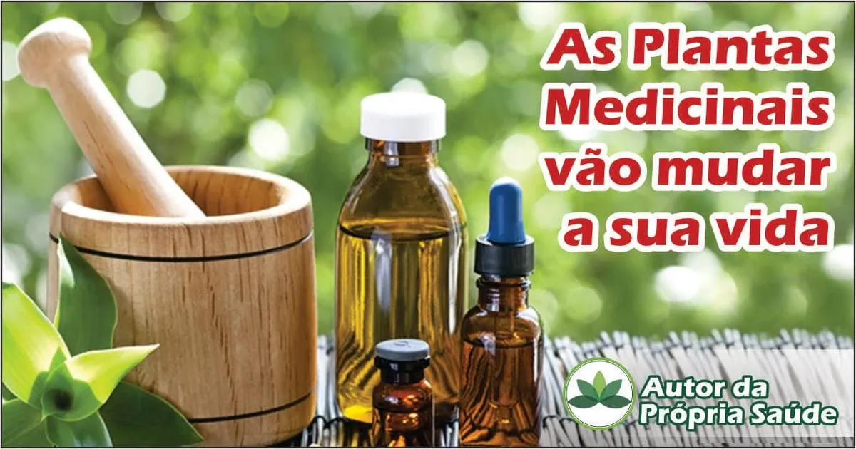 Capa: Baixar Curso Fitoterapia Daniel Forjaz Completo 2020