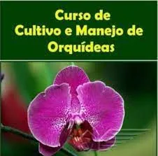 Capa: Curso Cultivo de Orquídeas: Baixar Livro + Vídeo Aulas