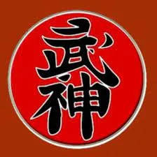 Capa: Baixar Ninjutsu Ninja Faixa Preta: Domine o Caminho