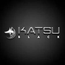 Capa: Katsu Black Belt 2021 Download: Domine Day Trading Já!
