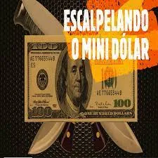 Capa: Baixar Curso Pio Trade Escalpelando Mini Dolar | Estratégias Exclusivas