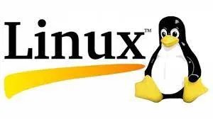 Capa: Baixar Linux Completo: Curso Definitivo para Todos!