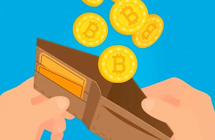 Capa: Curso Bitcoin Download Exclusivo: Domine suas Carteiras Digitais!