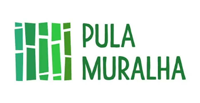 Capa: Curso Chinês Pula Muralha Si Liao Download Completo