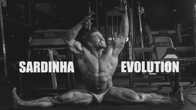 Capa: Fernando Sardinha: Baixar Sardinha Evolution em Alta Qualidade