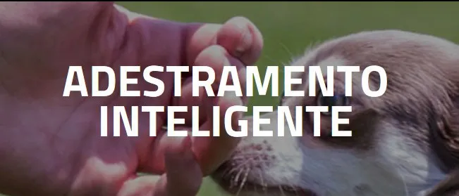 Capa: Baixe Agora: Adestramento Inteligente de Alexandre Rossi (Dr. Pet)
