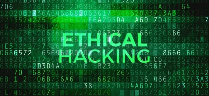 Capa: Python para Hackers Éticos: Baixar Curso Vitor Mazuco Completo!