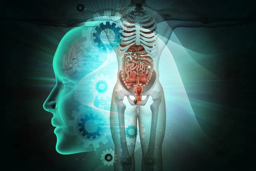 Capa: Anatomia Órgãos e Sistemas: Baixar Curso Completo 15h