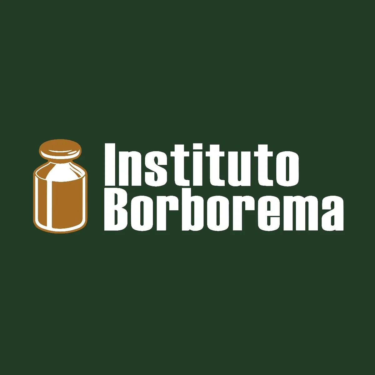 Capa: Instituto Borborema: Baixar Formação Básica Completa em HD